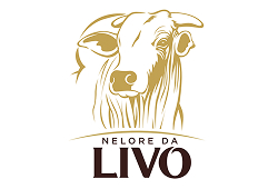 Logo novo parceiro - Agroniquel - 8